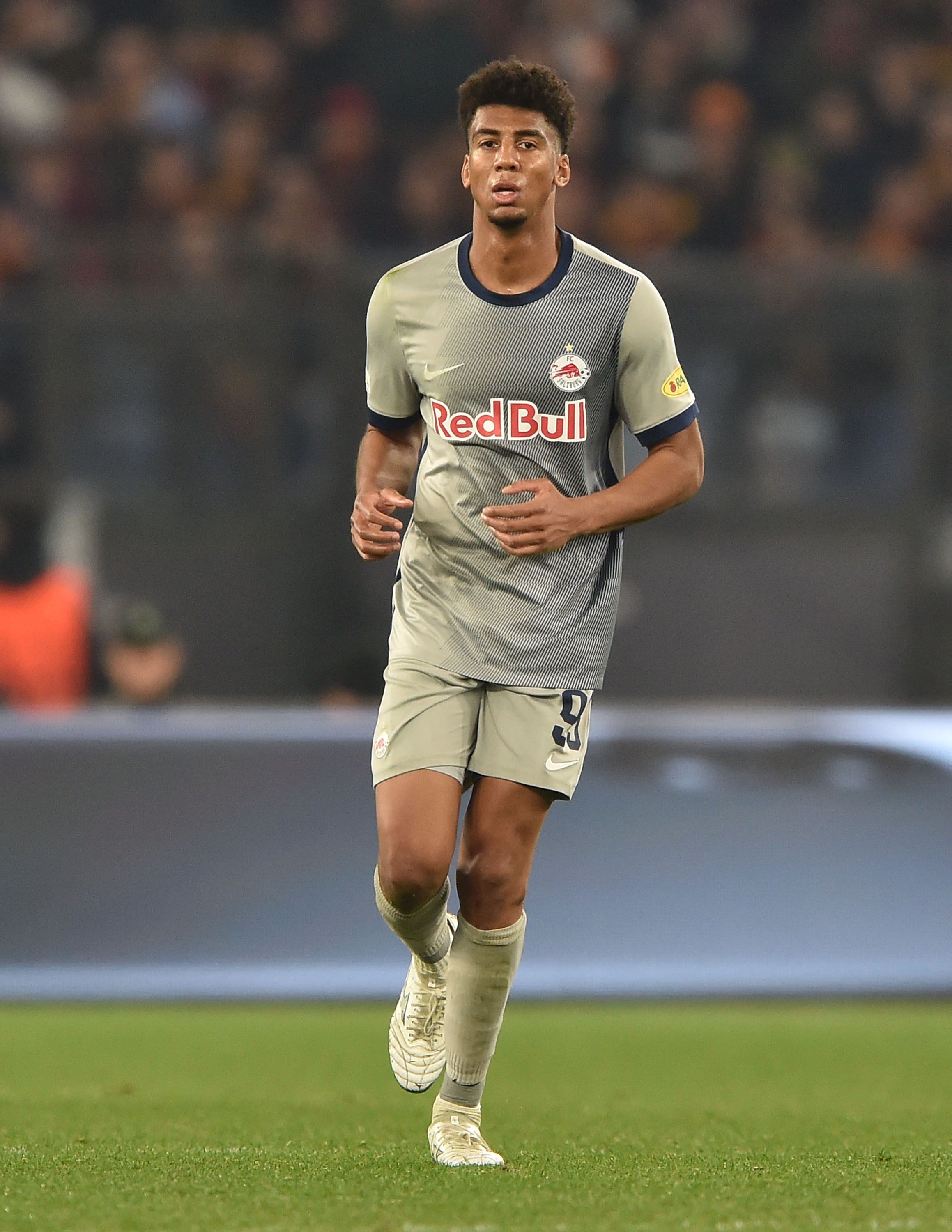 Bernardo photo