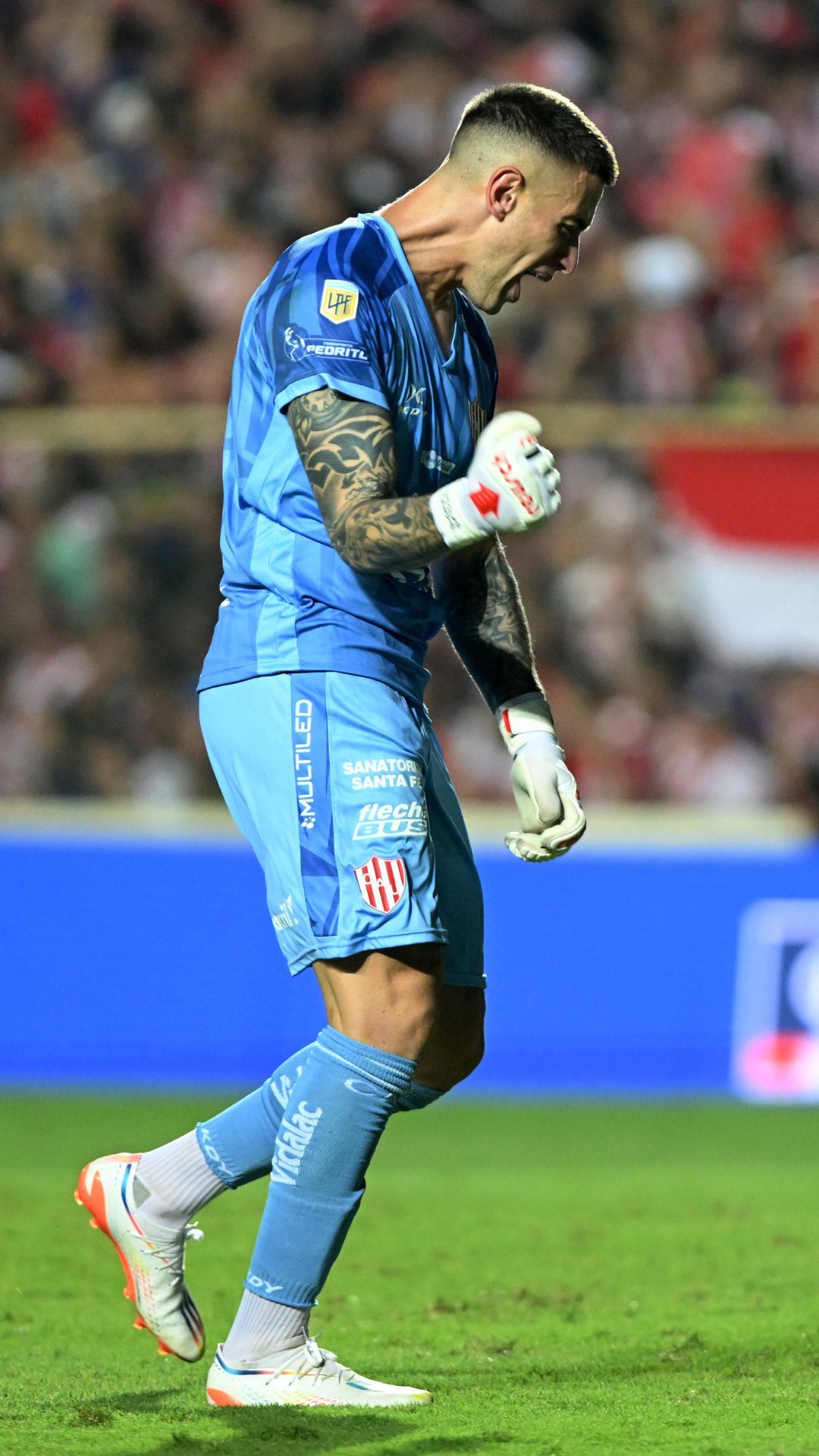 Dante Nicolás photo