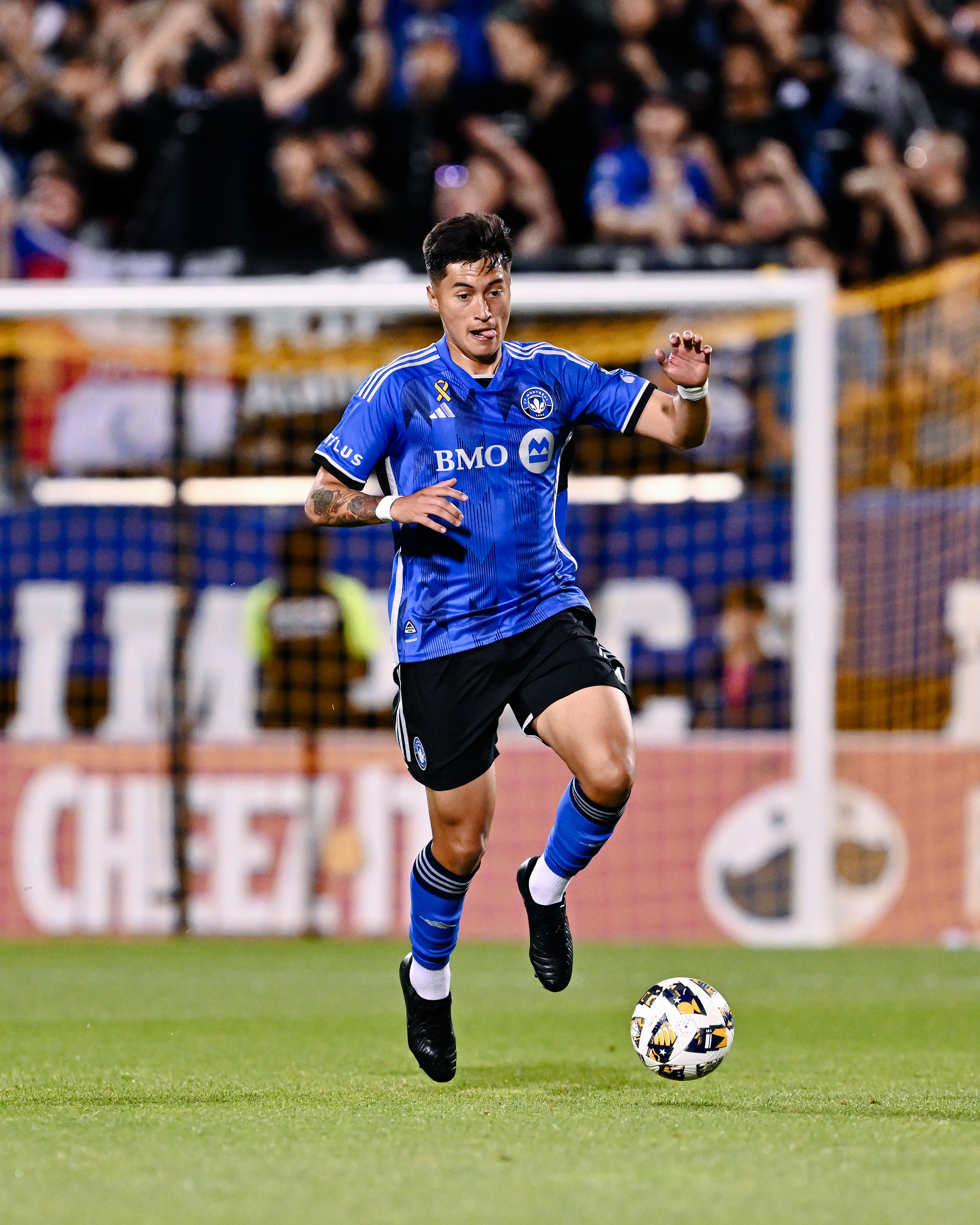 Fernando Álvarez  photo