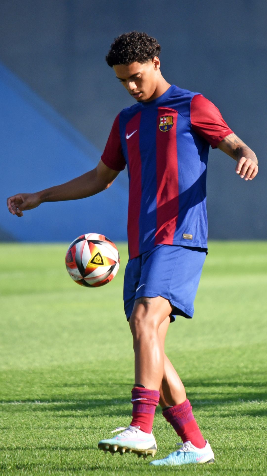 João Miguel photo