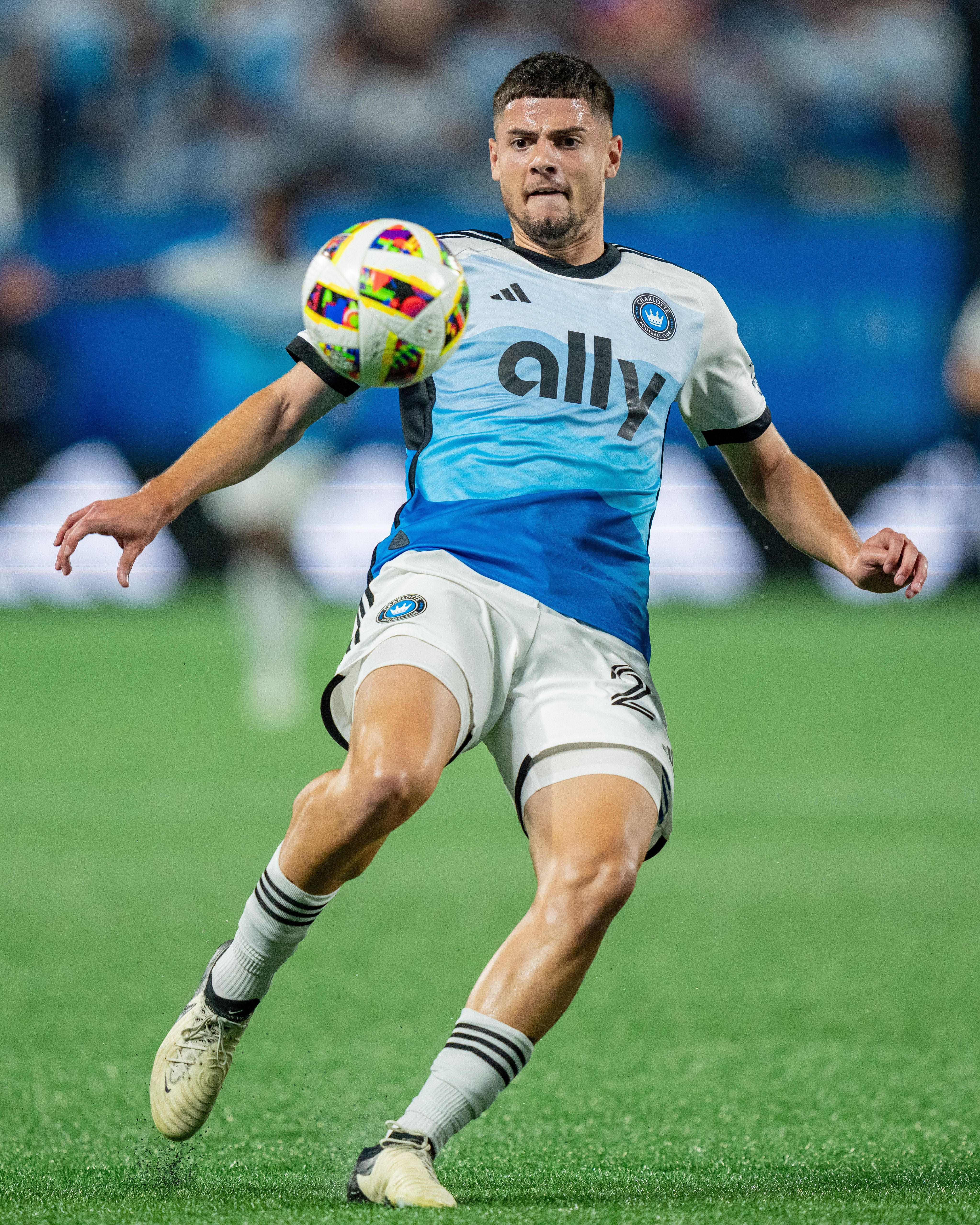 Nikola Petković photo