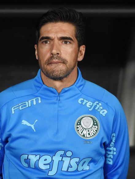 Abel Ferreira photo