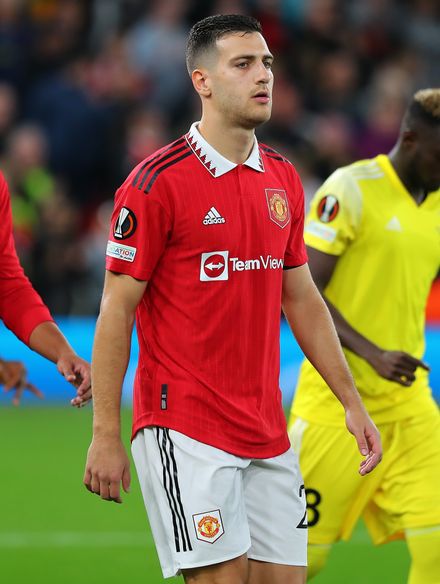 Diogo Dalot photo