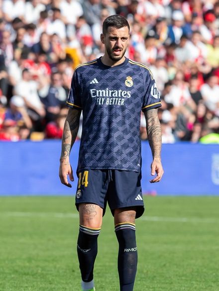 Joselu photo