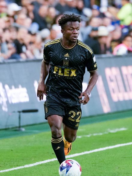 Kwadwo Opoku photo