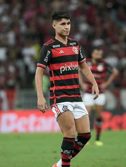 Luiz Araújo photo