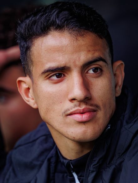 Rafael photo