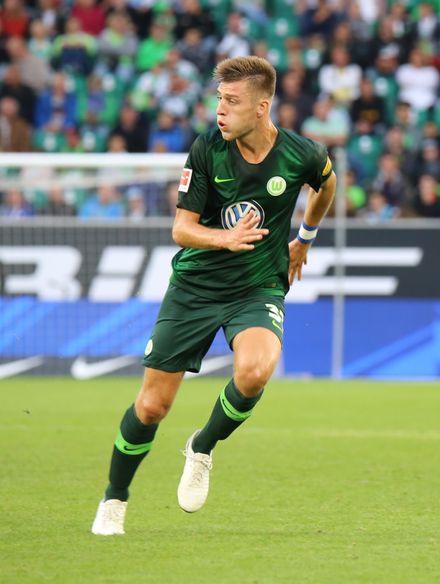 Робин photo