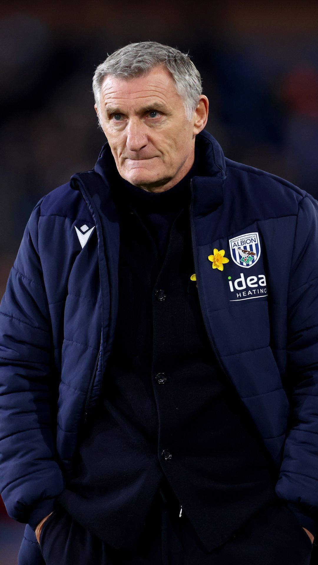 Tony Mowbray photo