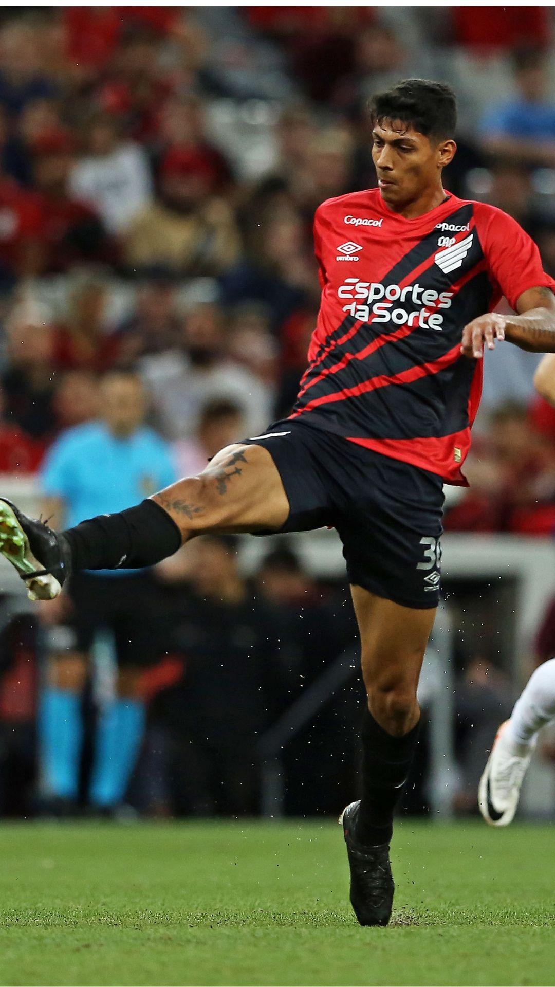 José Vitor photo