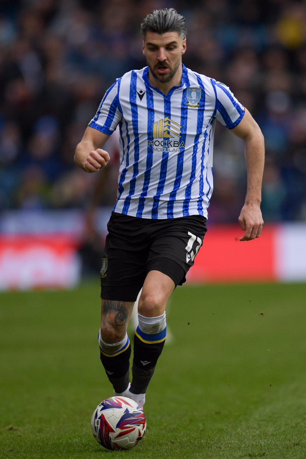 Callum Paterson photo