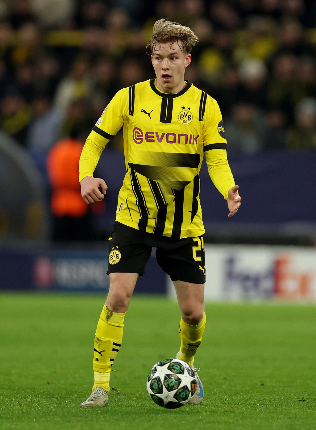 Daniel Svensson photo