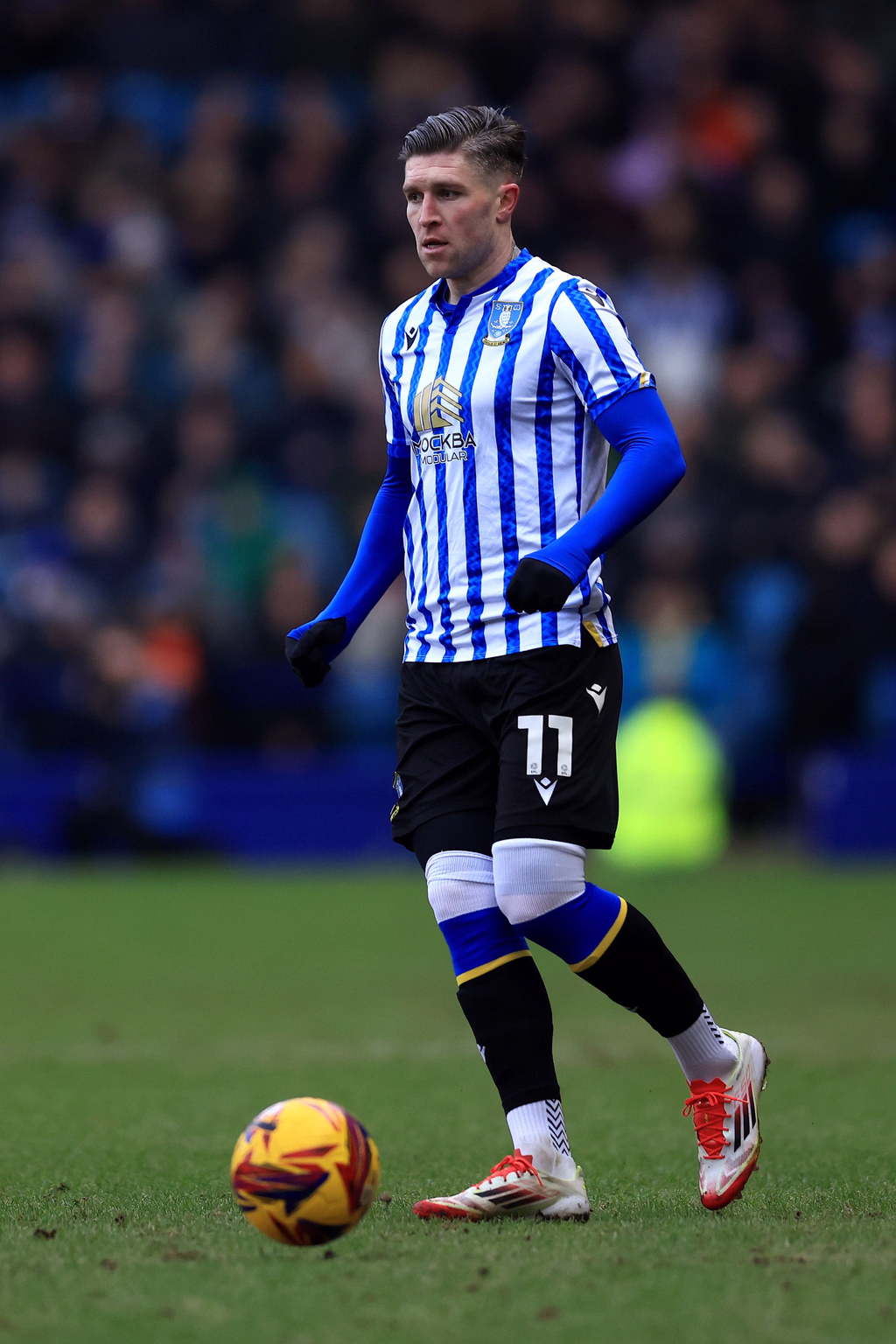 Josh Windass photo