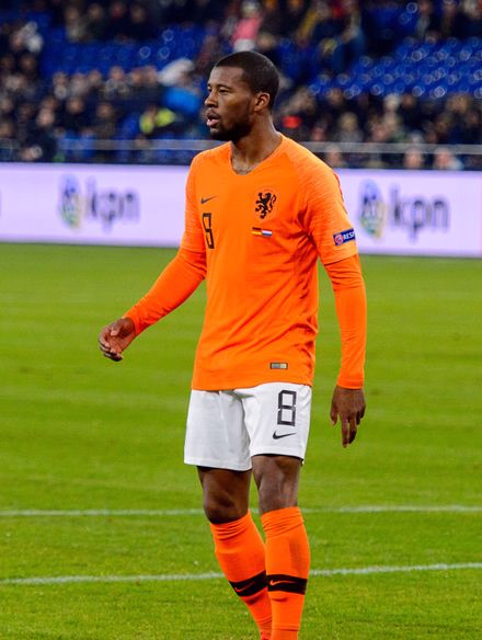 Georginio Wijnaldum photo