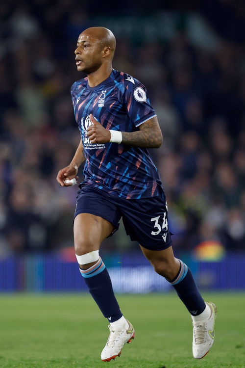 André Ayew photo
