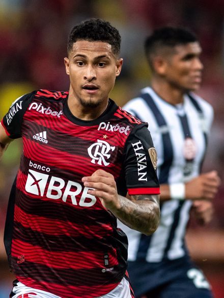 João Gomes photo