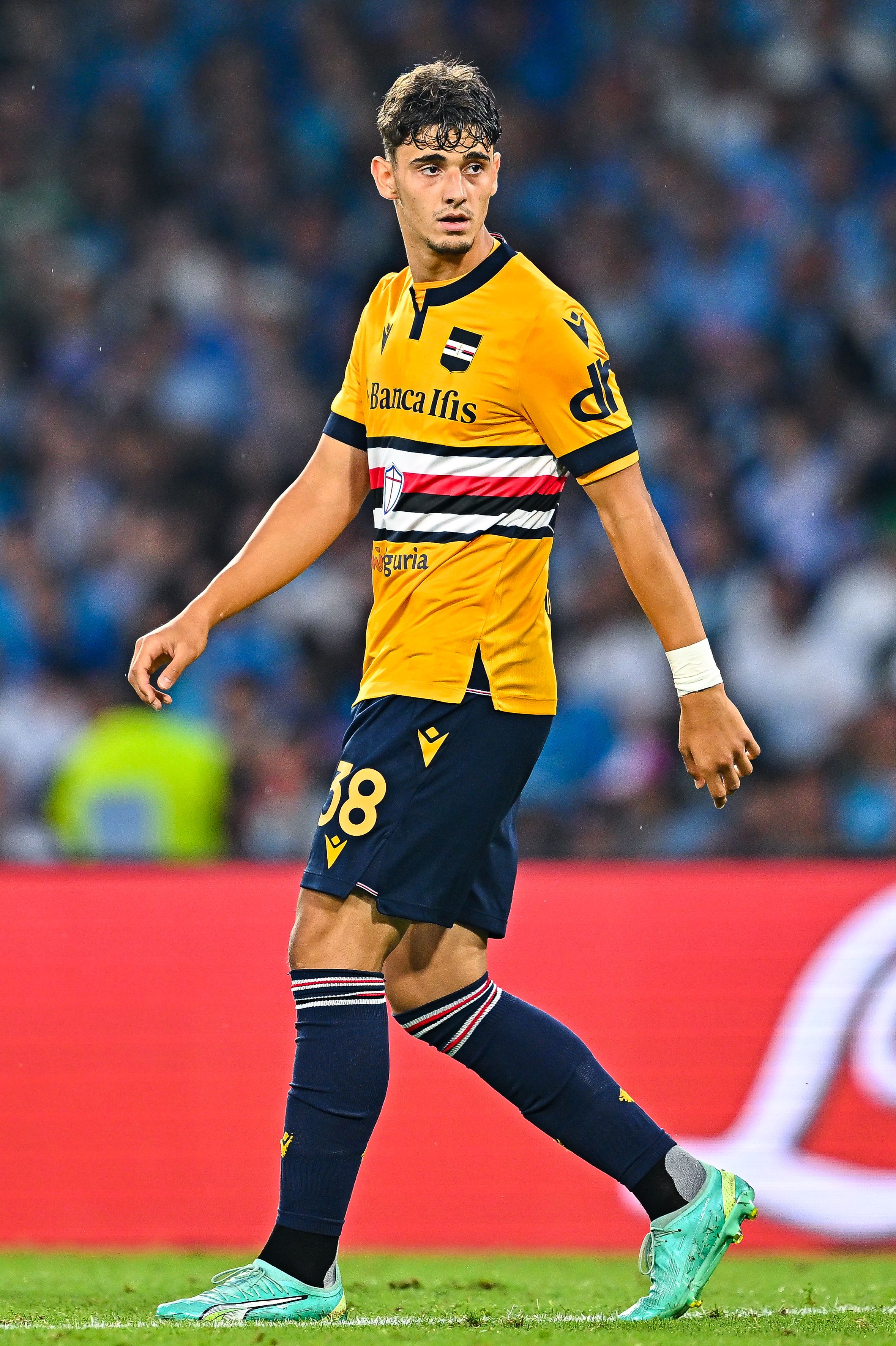 Mihailo Ivanović photo