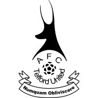 Телфорд logo