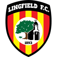 Лингфилд logo