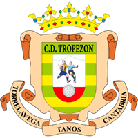 team logo