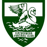 Шкіряна голова logo