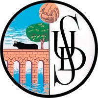 Salamanca CF logo