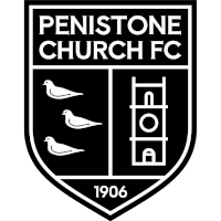 Пенистон logo