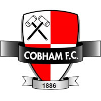 Cobham logo