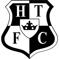 Холстед logo