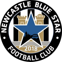 Blue Star logo