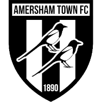 Амершем logo