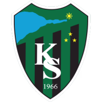 Коджаэлиспор logo