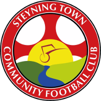Стейнинг logo