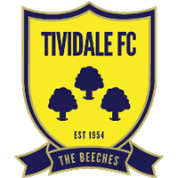 Тивидейл logo