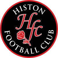 Хистон logo