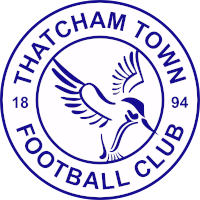 Тэтчем logo