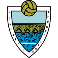 Тордесили logo