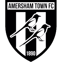 Амершам logo