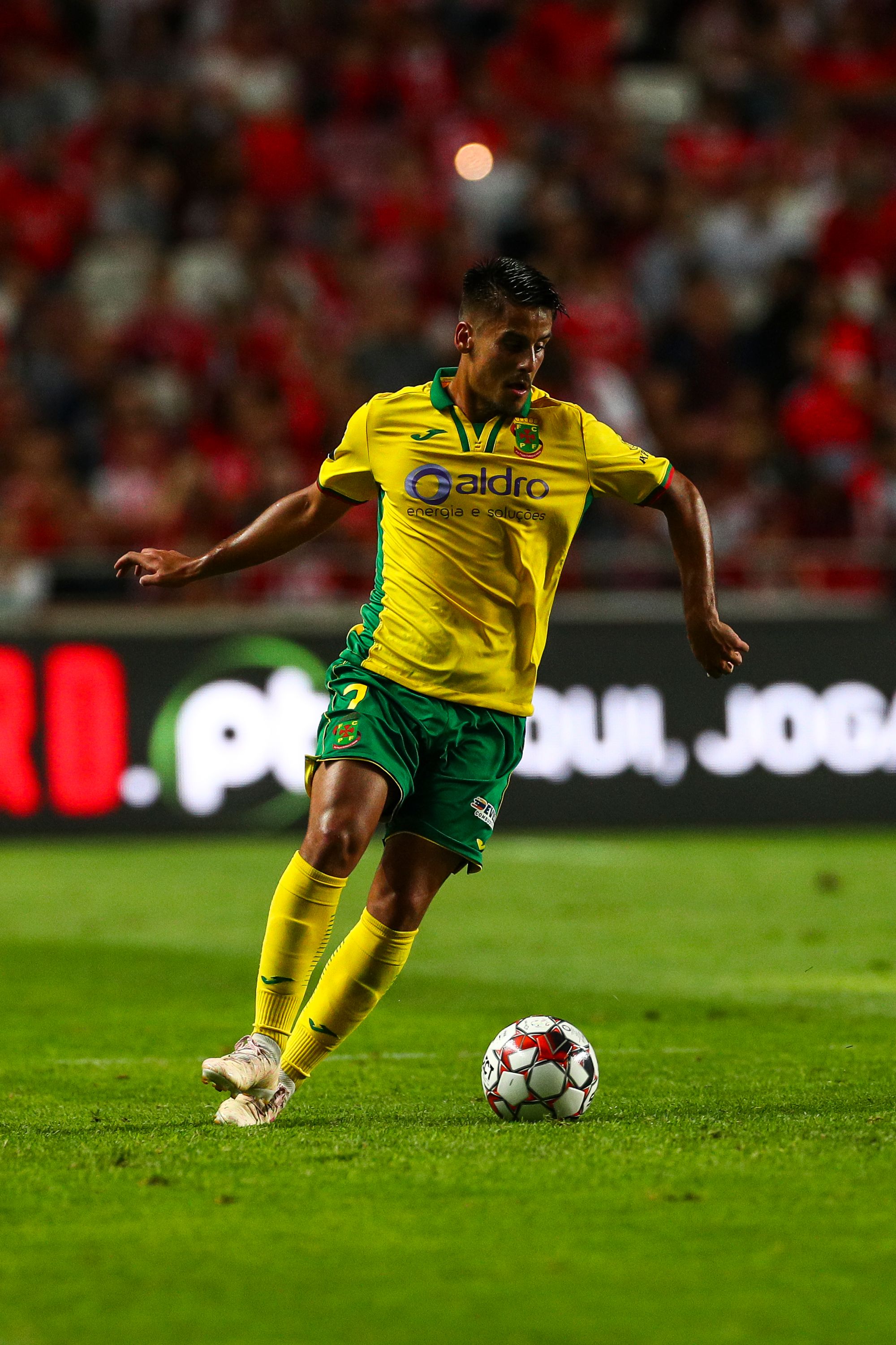 Bernardo Martins photo