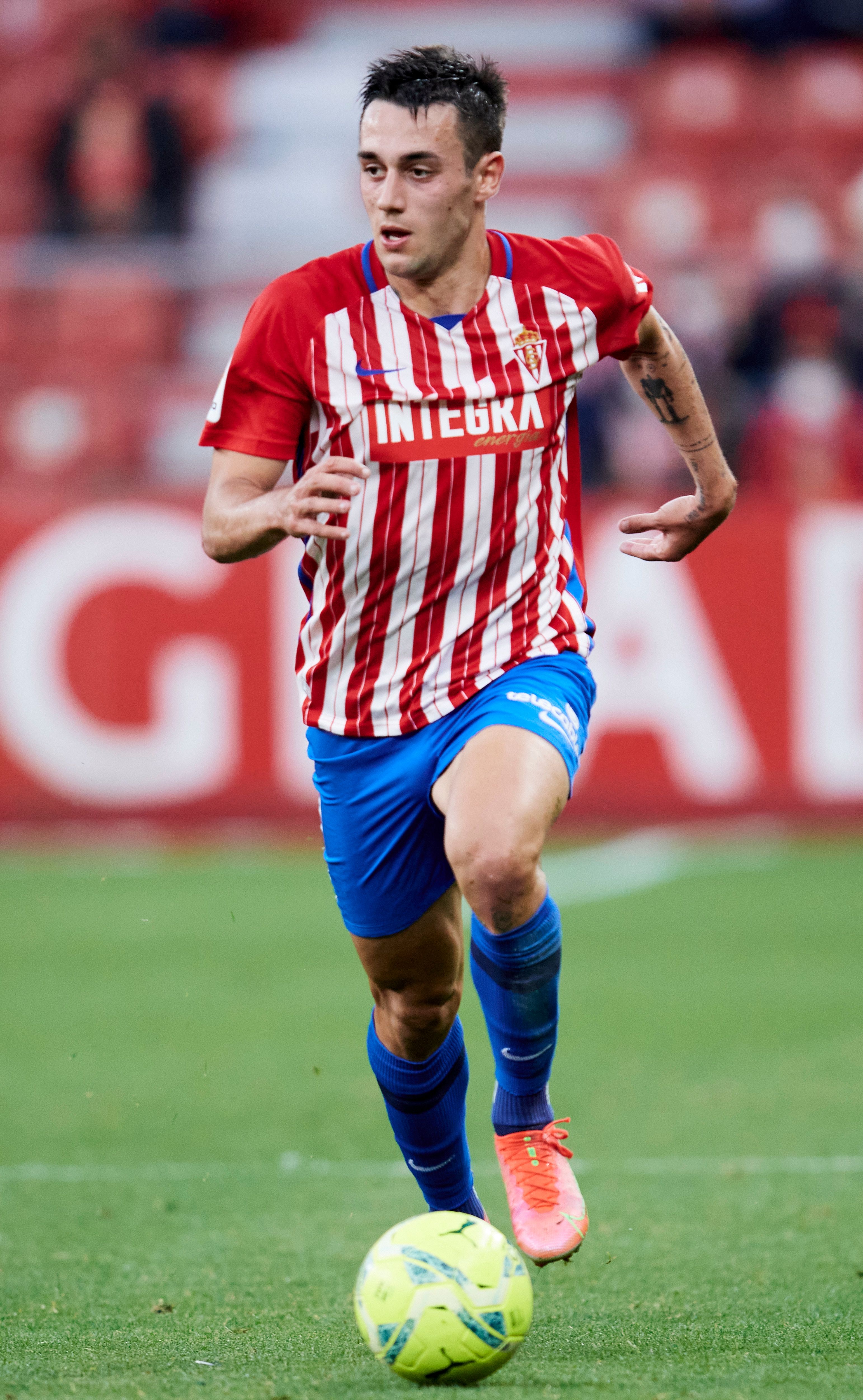 Pedro photo