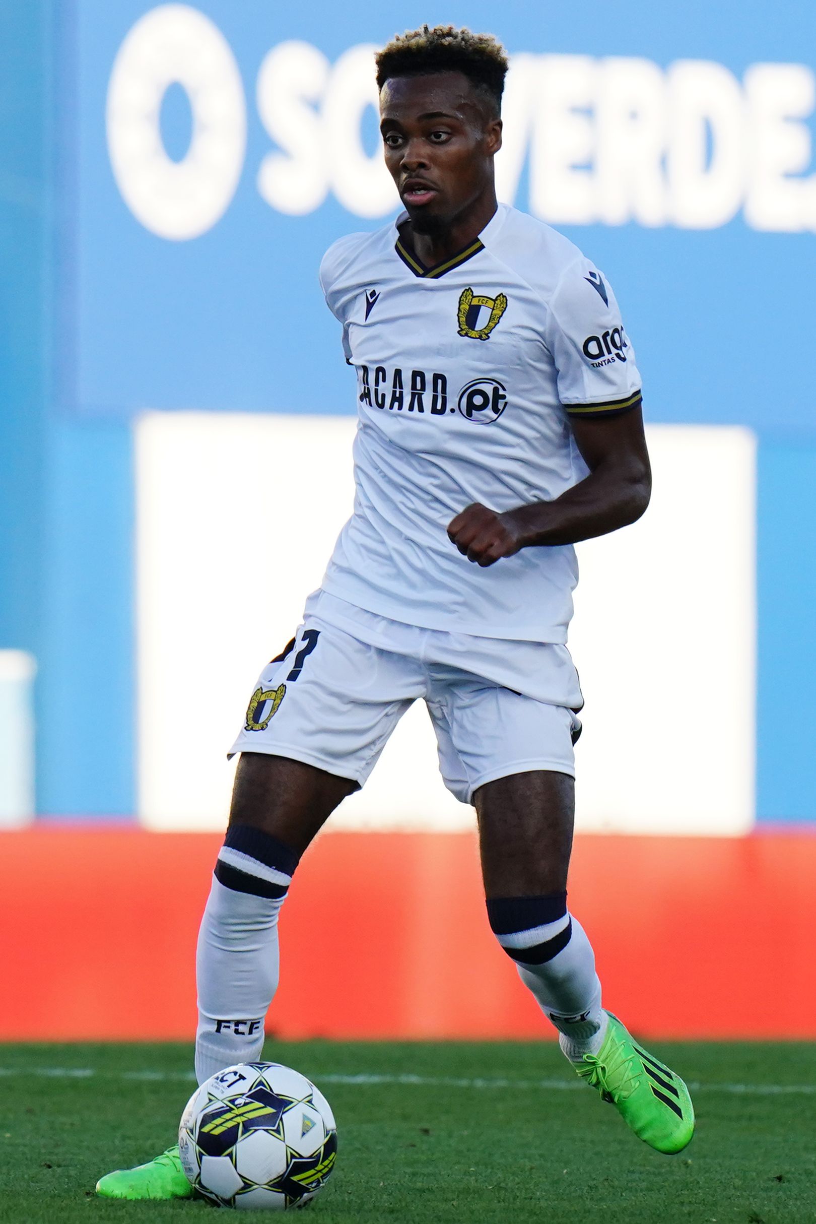 Pedro Brazão photo