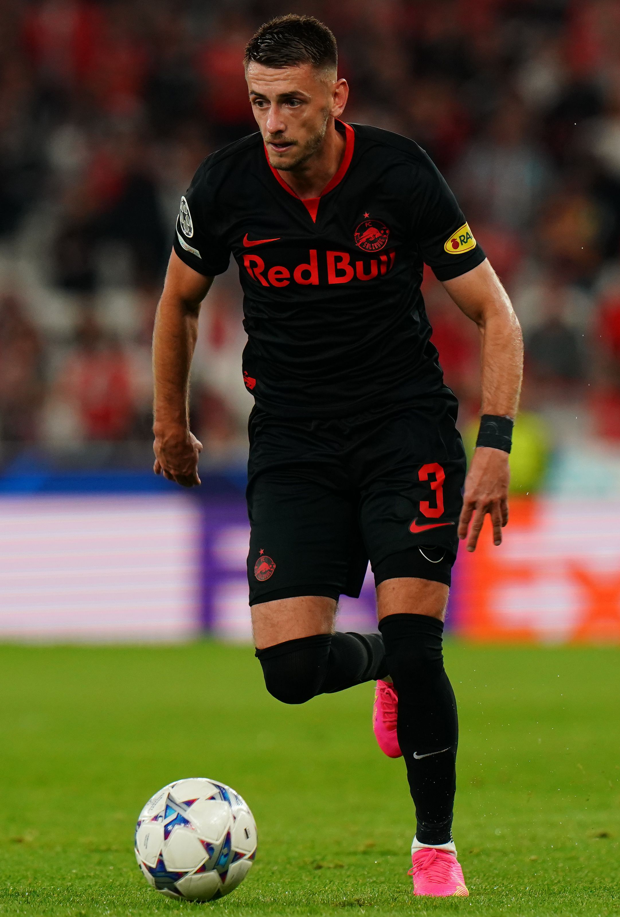 Aleksa Terzić photo