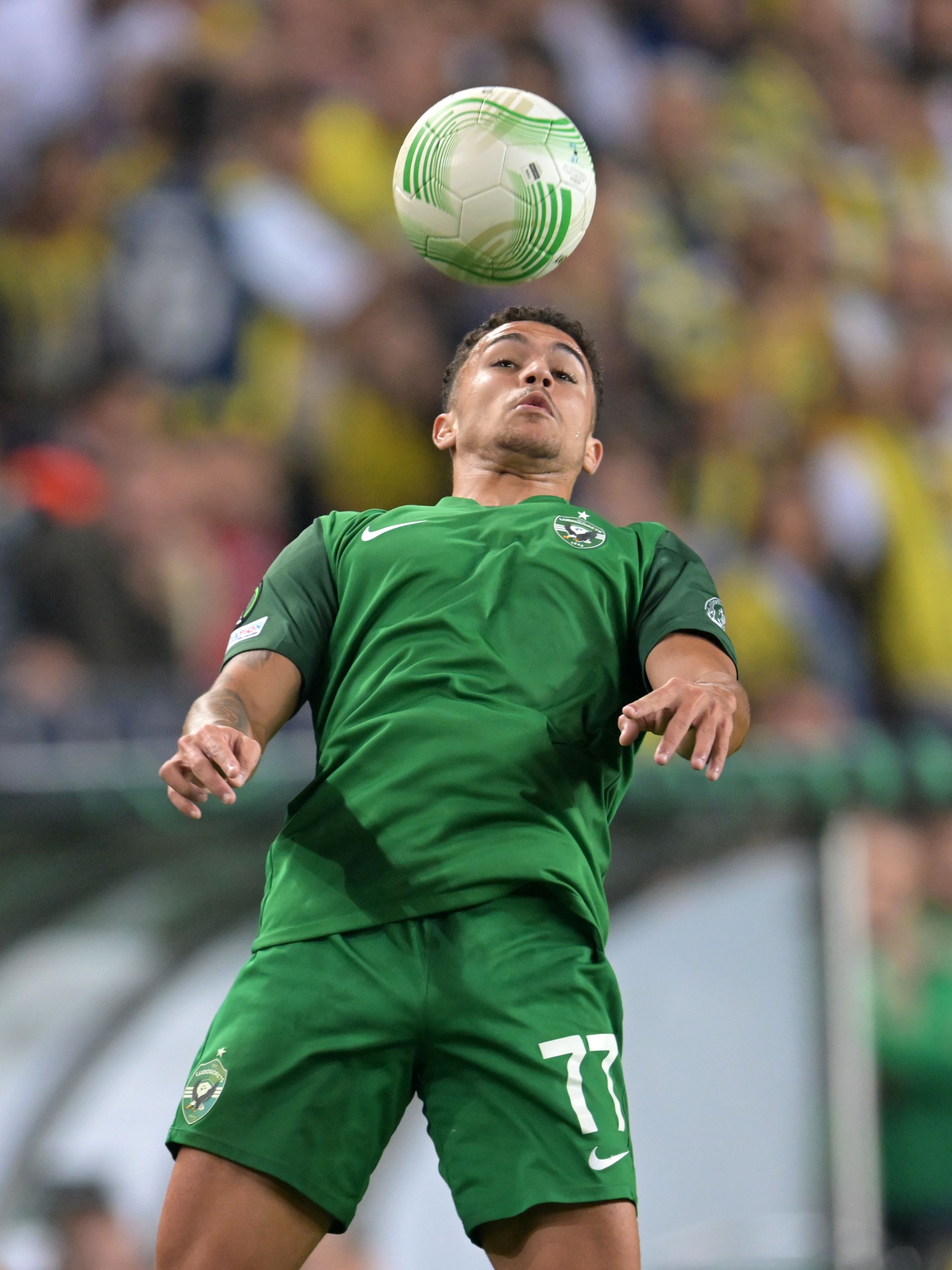 Caio Vidal photo