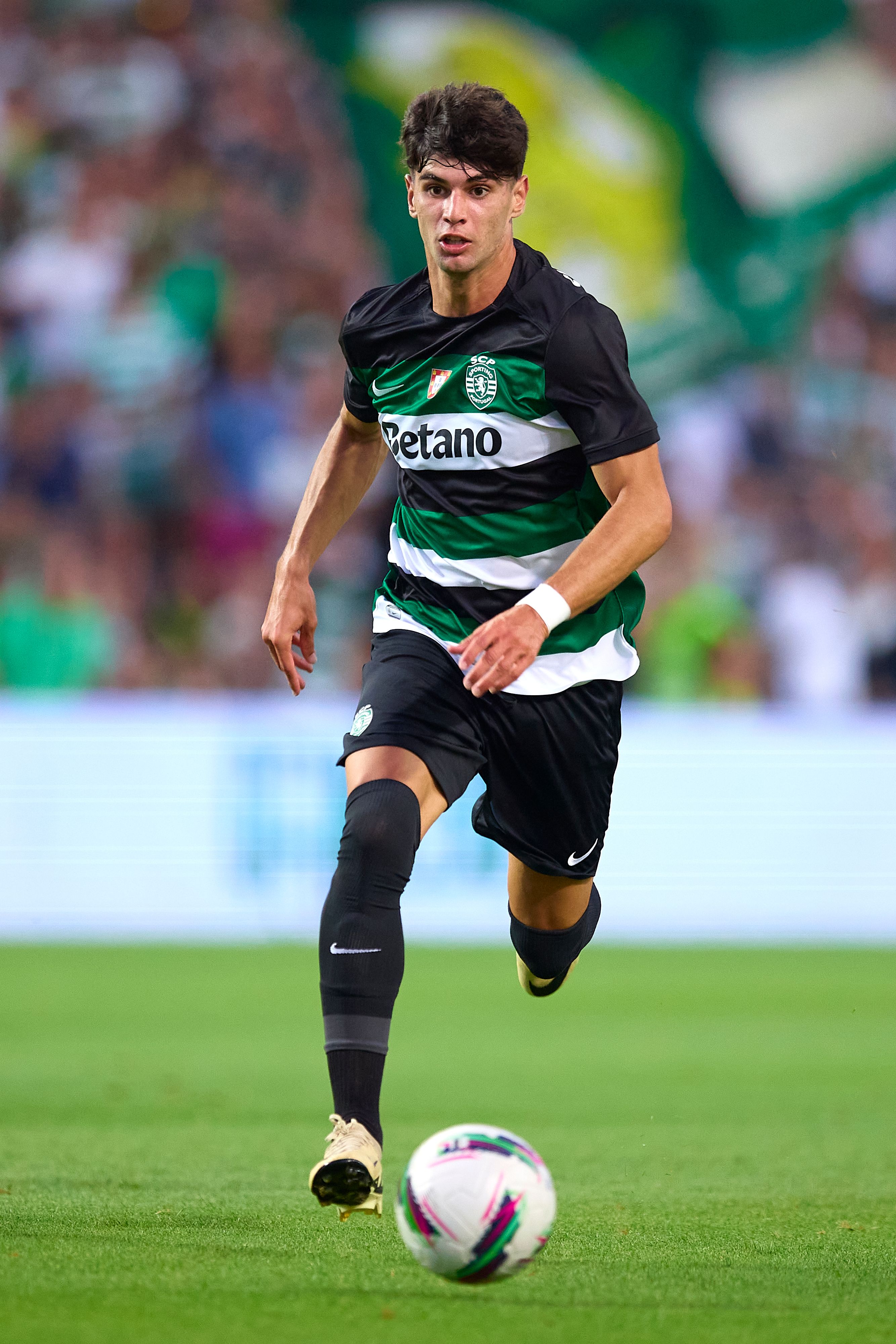 Rodrigo Ribeiro photo