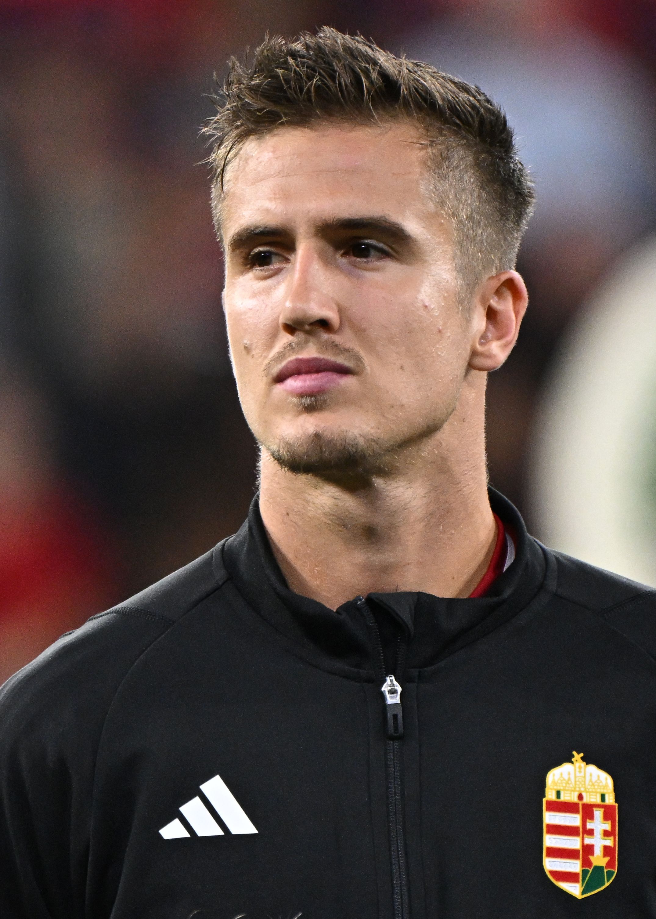Tamás Nikitscher photo