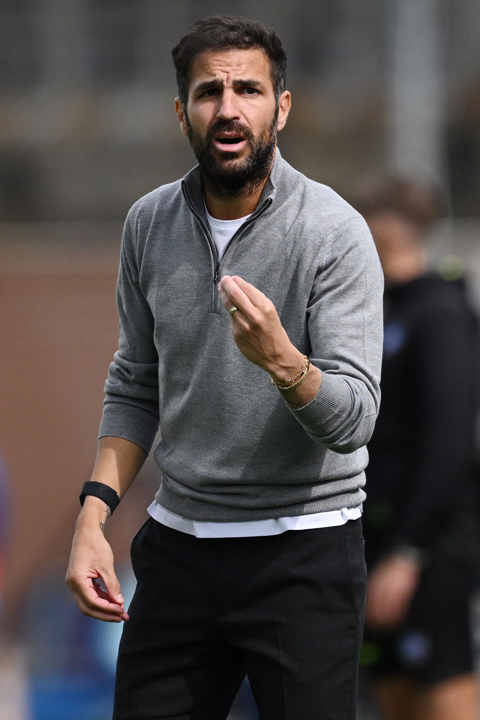 Fàbregas photo