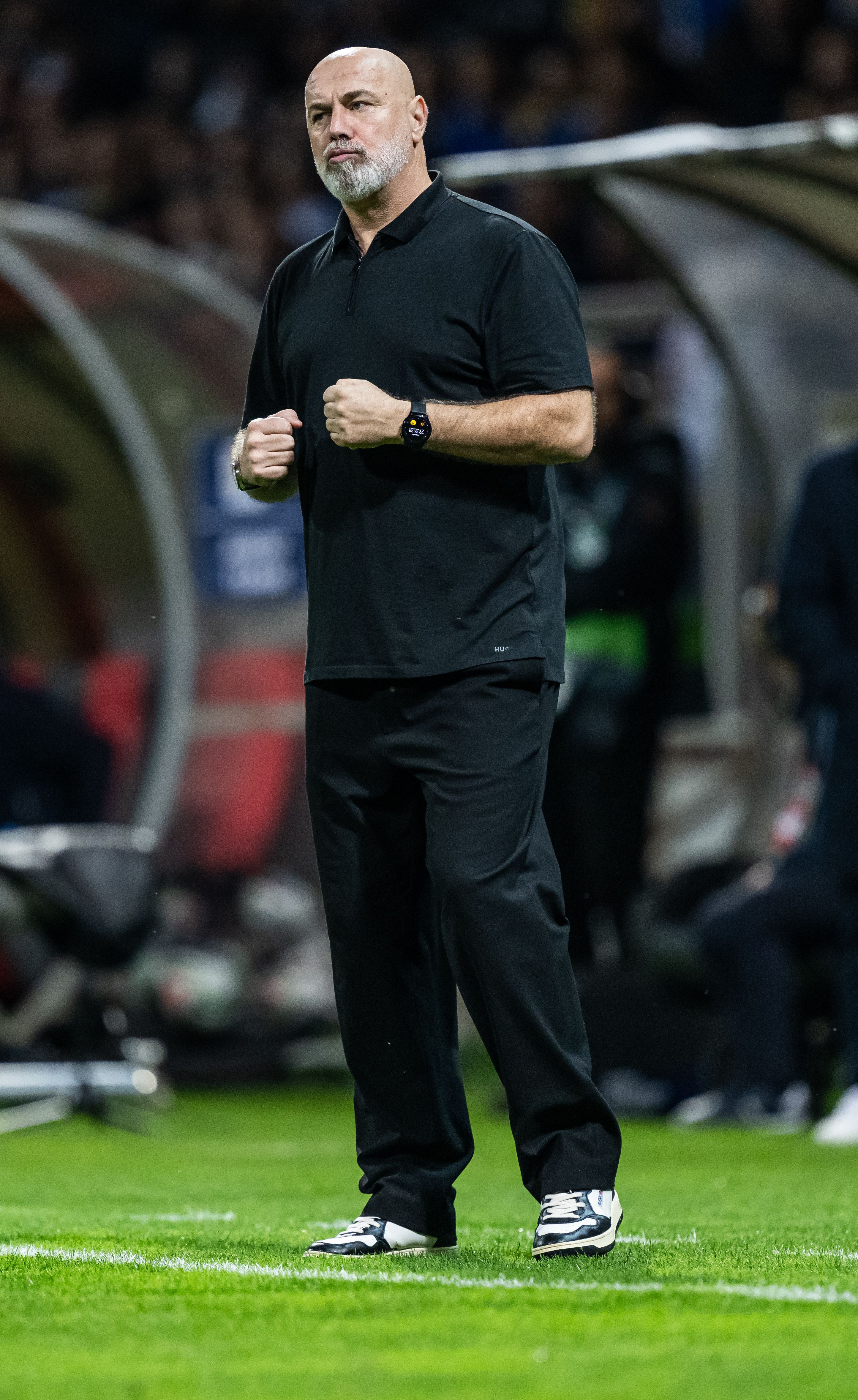 Sergej Barbarez photo