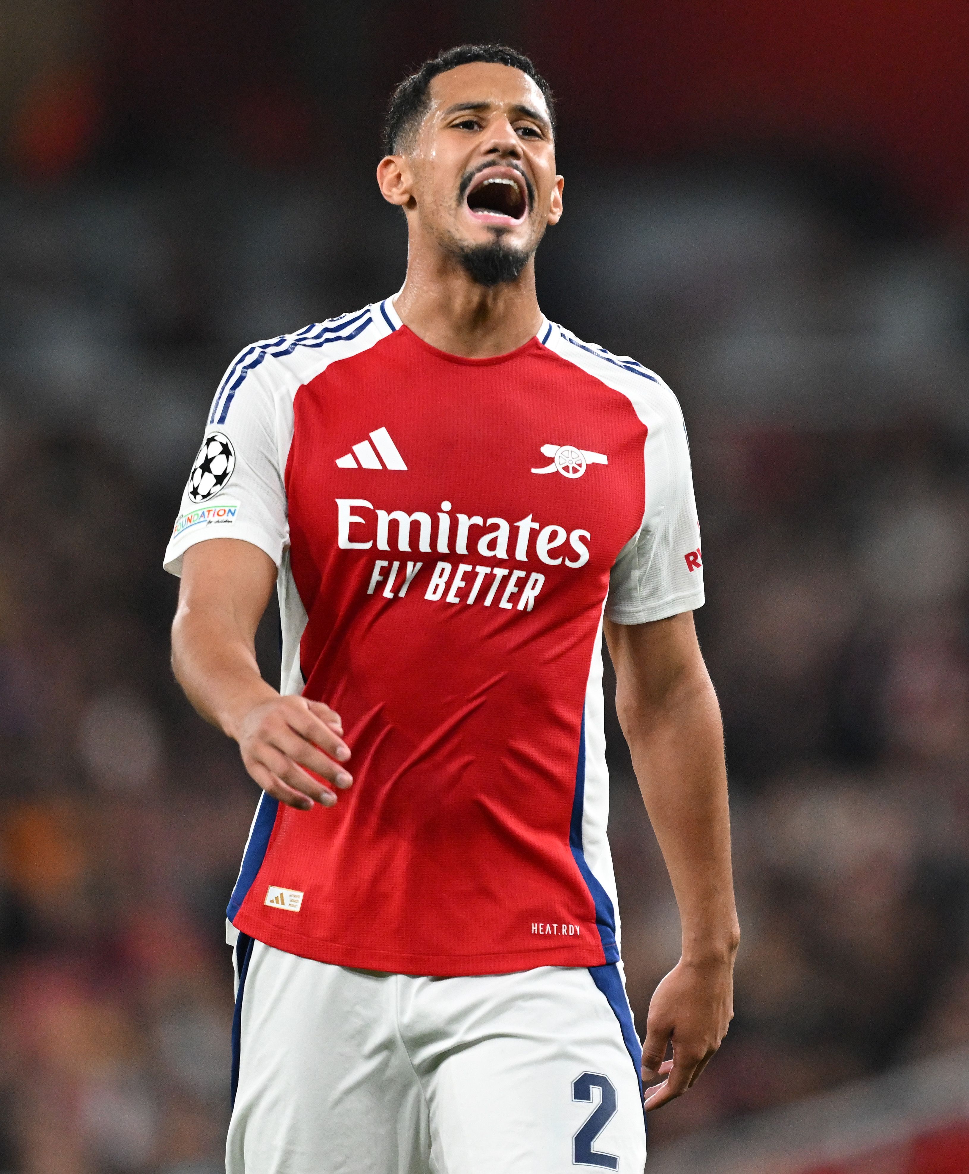 William Saliba photo