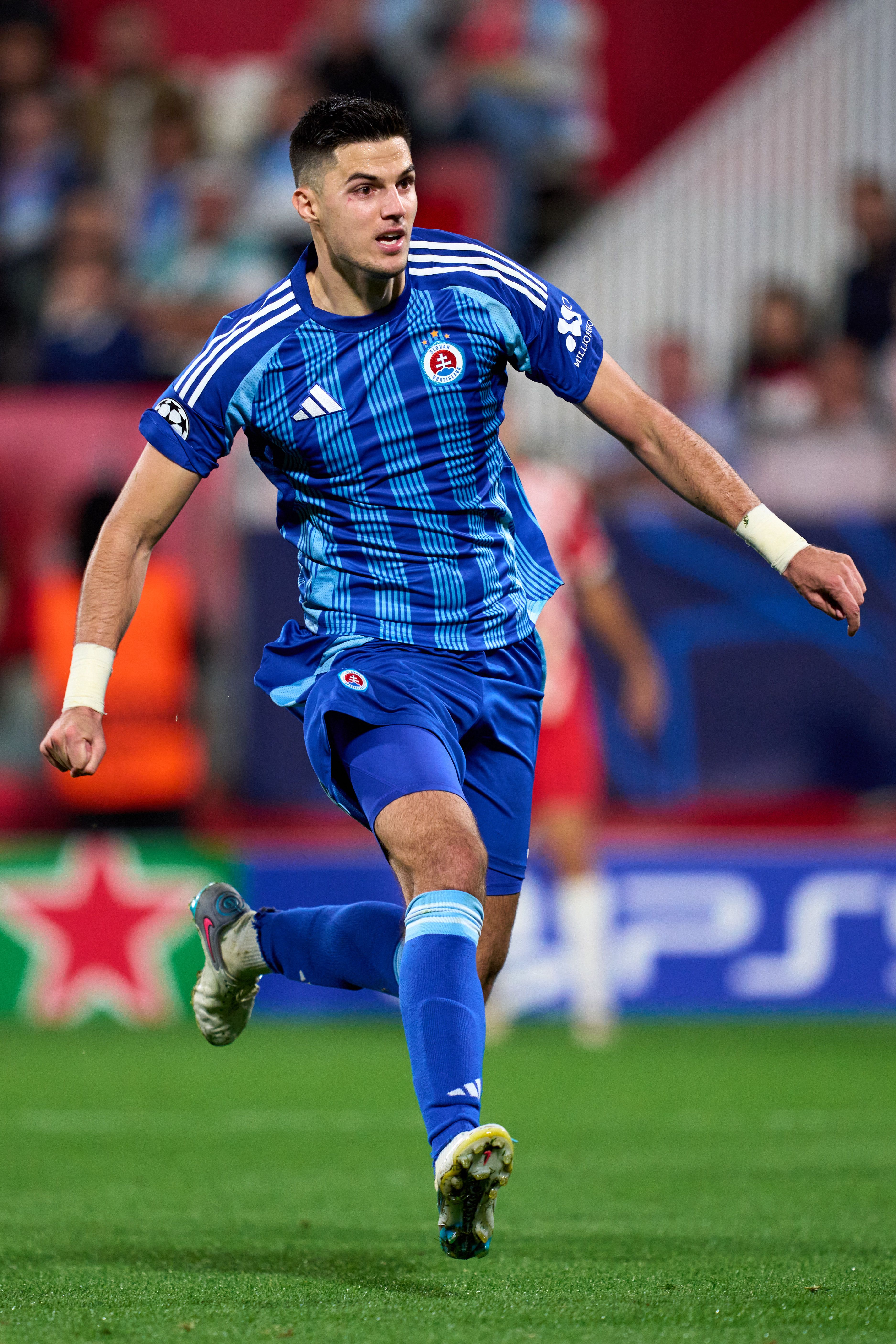 Marko Tolić photo