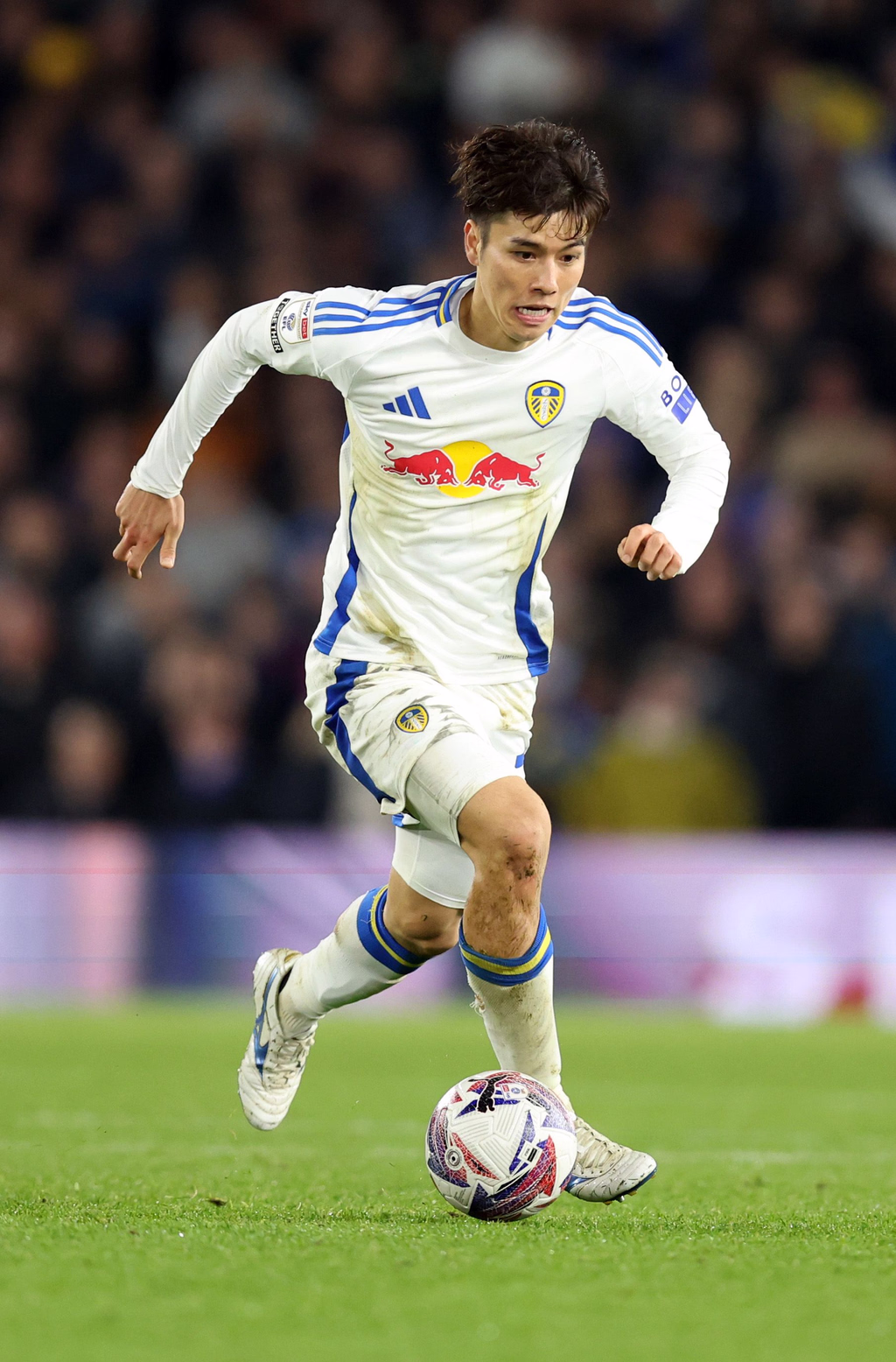 Ao Tanaka photo